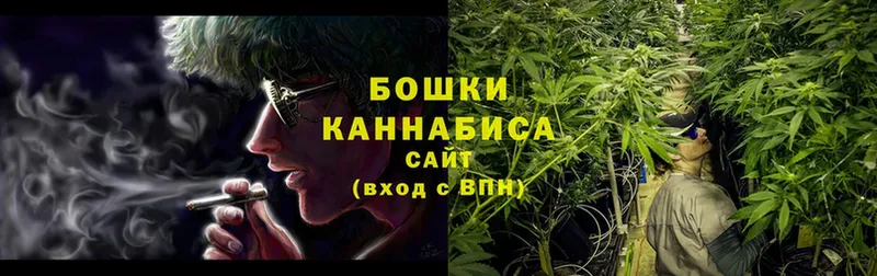 Каннабис сатива  hydra ССЫЛКА  Горячий Ключ 